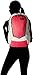 The North Face Women's Vault Backpack