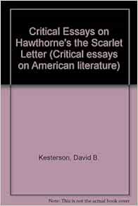 Hawthorne critical essays 06 image
