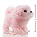Toysery Puppy Plush Dog Toy for Kids - Puppy Toy, Walks, Barks - Battery Operated (Pink)