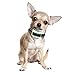 Our K9 Training Made Easy Bark Collar ​for ​Small Dog - ​Vibration No​ Shock, Rechargeable, Works in a Couple of Hours, ​Pain Free ​Control Device