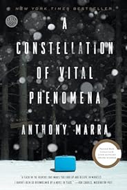 A Constellation of Vital Phenomena: A Novel