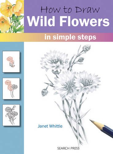 How to Draw Wild Flowers: in simple steps