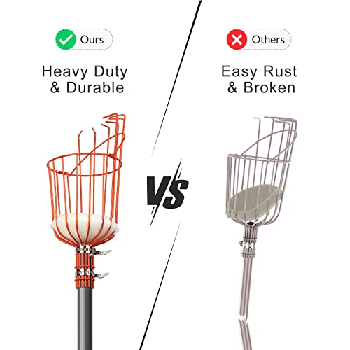 Walensee 13FT Fruit Picker Pole with Basket, 35-158 Inch Adjustable Mango Picker Tool, Stainless Steel Telescoping Cherry Picker for Tree, Apple Pear Lemon Orange Avocado Picking