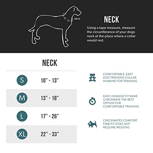 EzyDog Checkmate MartingaleStyle Premium Nylon Safety Training and