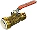 Sharkbite 25551LF PVC Ball Valves