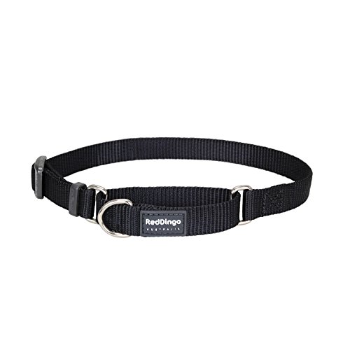 Red Dingo Classic Martingale Dog Collar, Large, Black