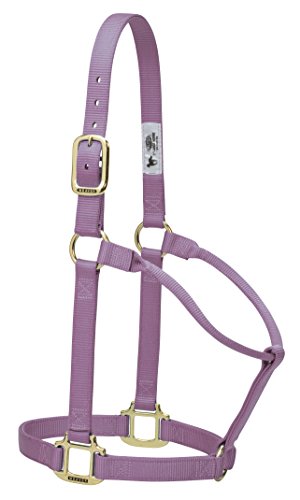 Weaver Leather Original Non-Adjustable Nylon Horse Halter, Average, Lavender