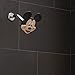 Oxygenics 79268 Mickey Mouse Fixed Shower head, Red/Black