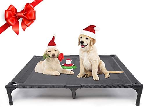 petmate elevated dog bed