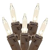 Novelty Lights 50 Light Clear Christmas Mini Light Set, Brown Wire, 11' Long