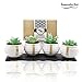 Japanese Style Artificial Succulent Plants in pot- Set of 4 Mini fake succulent plants Artificial Succulent Plants fake succulent plants in pot faux succulent plants fake cactus succulents - Set of 4