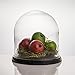 CYS EXCEL Glass Cloche Dome with Black Wood Base (H:11