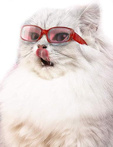 スポンサー プロダクト Eonpet Ceo Glasses 猫 眼鏡 メガネ 可愛い猫 ペット用 日焼け対策 保護 ファッション