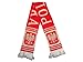 Poland Polish Polska Scarf National Patriotic Scarf