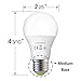 Litevance 12V-24V AC/DC 12W LED Edison Bulbs,12W 1050lumen A19 E26 Light Bulbs, Low Voltage Light Bulbs for Off Grid Solar Lighting Marine Boat RV 12V Interior Lighting for Camper (4000K Cool White)