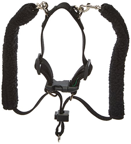 SPORN Dog Halter, Black, Small