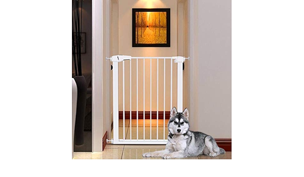 akc walk through gate