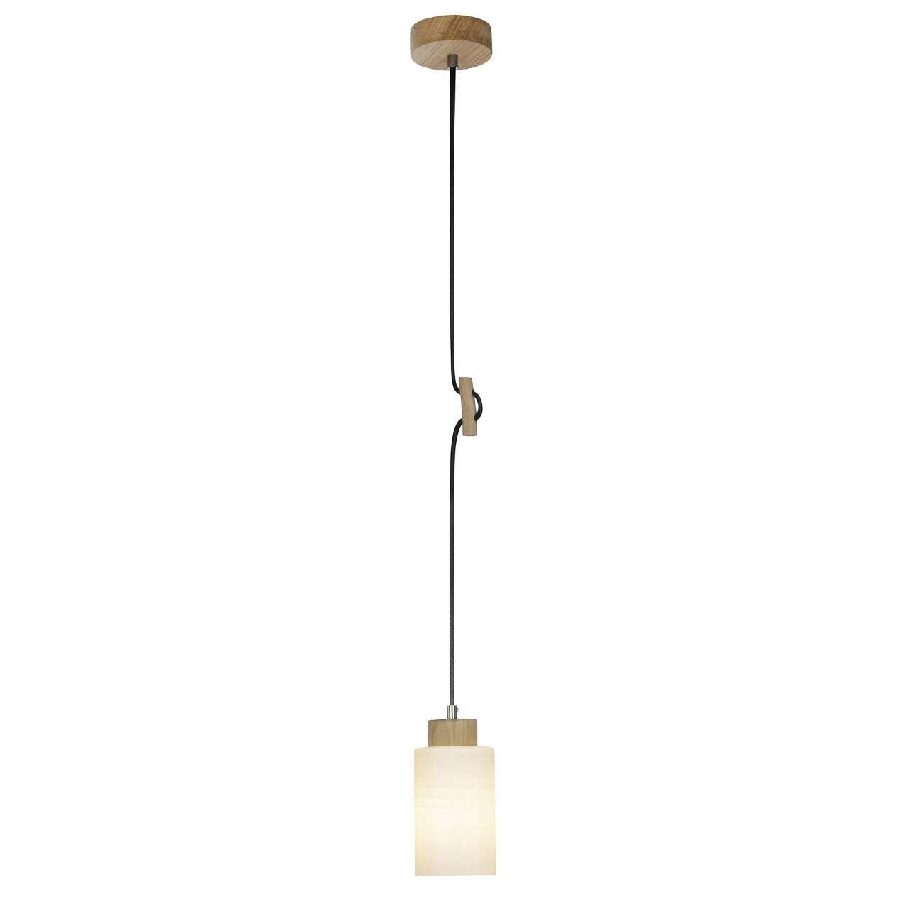 Nature Pendant Light 1 Bulb Oak/White
