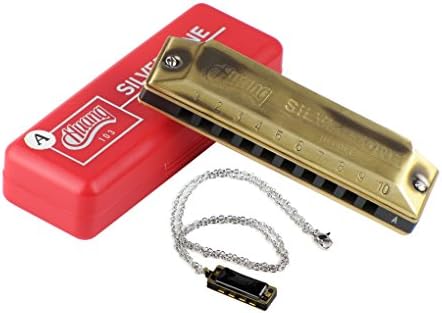 Huang 10 Hole Blues Harmonica(Golden Color) Key of A with Mini Harmonica Necklace