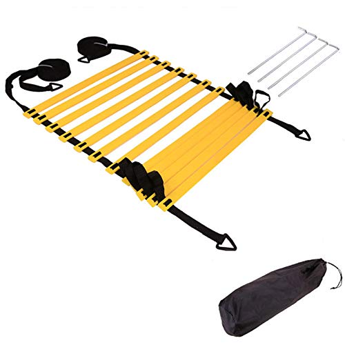 SHAPEU Agility Ladder