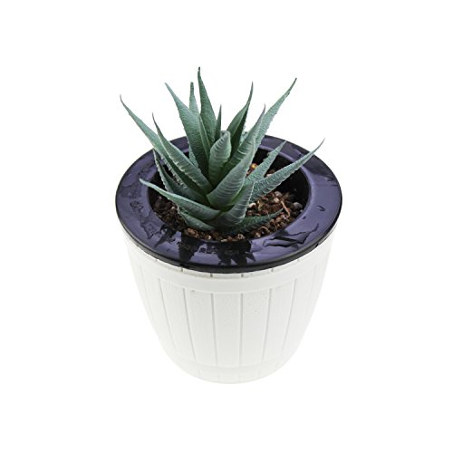 Goodma 3 Pieces Realistic Artificial Aloe Faux Succulent Textured Spiky Green Haworthia Cactus Plants Unpotted (Light Green)