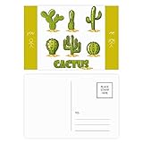 Succulents Potted Plant Cactus Pattern Friend