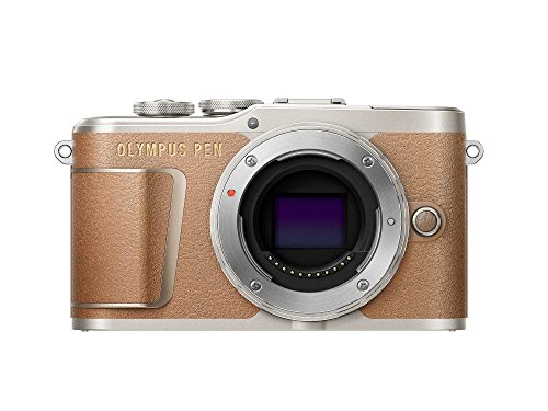 Appareil Photo Olympus Pen E-Pl9 Vidéo 4K 17,2 Mpix Ecran : 3 Pouces Marron