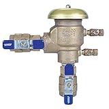 Febco 765-1" BV-Pressure Vacuum Assembly