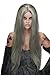 Rubie's Nuclear Witch Wig, Grey, One Size