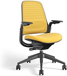 Steelcase Series 1 Work Chair Office Chair - Graphite