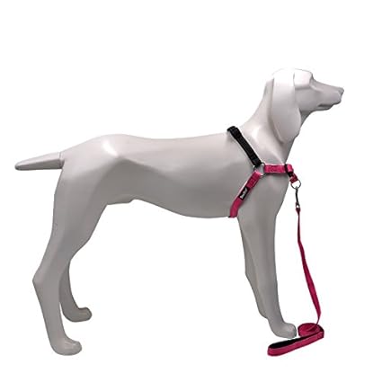 best dog harness for comfort