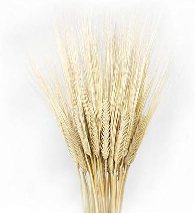 Duhe Simulation Wheat Wheat Rice Home Decoration Flooring Pastoral Style Simulation Dried Flowers Wheat Ears Dried Natural Flower