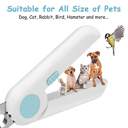 dog nail file mat