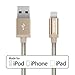 Kanex Apple Certified Premium Lightning to USB Cable with DuraBraid Fiber 4 Feet (1.2 Meters)-Gold