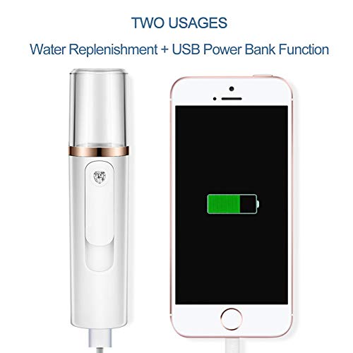Facial SteamersMoisturizer Sprayer, Handheld Atomizer Humidifier USB Face Moisture Eyelash Extensions Skin Care Facial Water Spa Beauty Instrument (White)