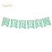 NICROLANDEE Cactus Baby Shower Decoration Mint Green Tissue Pom Poms Eyelet Paper Lantern White Hanging Honeycomb Ball Watercolor Party Banner Fiesta Baby Shower 1st Birthday Cactus Party Decorations
