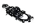 Alps Performance Light Weight Snowshoes for Kids Men Women(21 INCHES)