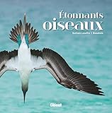 Etonnants oiseaux by 
