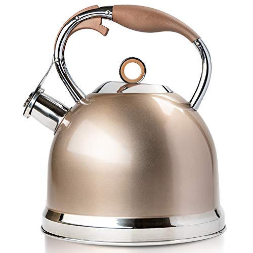 Tea Kettle Best 3 Quart induction Modern Stainless Steel Surgical