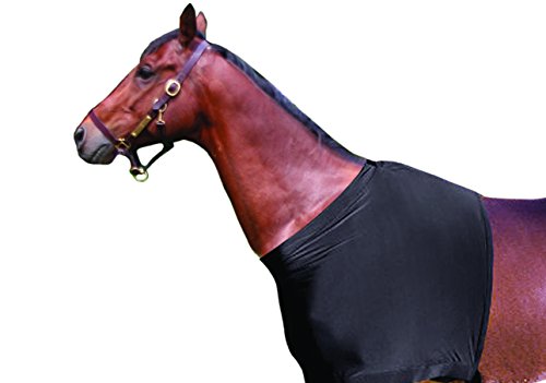 Derby Originals Lycra Horse Shoulder Guard, Black, Large (Best Horse Shoulder Guard)