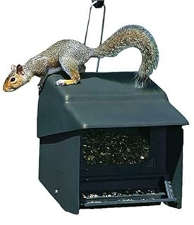 Homestead Super Stop A Squirrel Bird Feeder Green River Texture