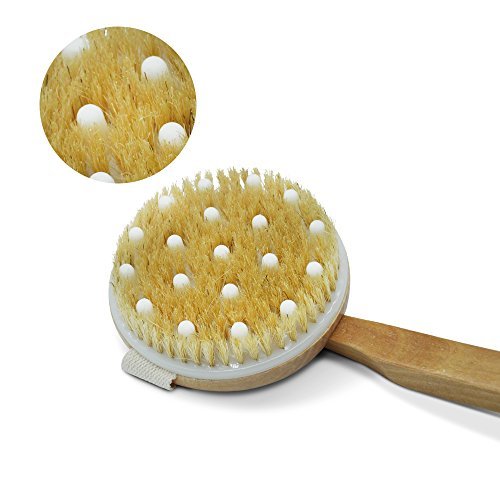 Body Brush Back Scrubber Dry Skin Brushing Natural Bristles with Long Wooden Handle for Cellulite and Exfoliating