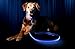 ILLUMISEEN LED Dog Collar USB Rechargeable - Bright & High Visibility Lighted Glow Collar for Pet Night Walking - Weatherproof, in 6 Colors & 6 Sizes (Blue X-Large)