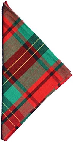 India Overseas Tartan Cloth Napkin - Multicolor