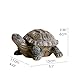 donau Garden Statues Turtle Figurines Polyresin Garden Sculpture Turtle Decor 5.1 inch