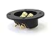 Absolute USA RST-350 3-Inch Round Gold Push Spring Loaded Jacks Double Binding Post Speaker Box Terminal Cup