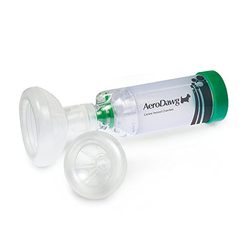 Top 10 Inhalers For Asthma Side Effects of 2019 No Place Called Home