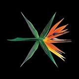 EXO [THE WAR] 4th Album CHINESE Ver CD+92p