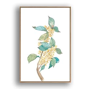 Framed Beautiful Flowers in Grid Home