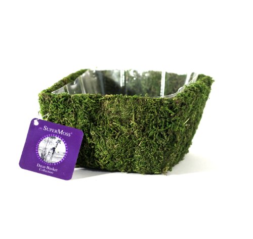 Super Moss (55041) Marin, Fresh Green, Small